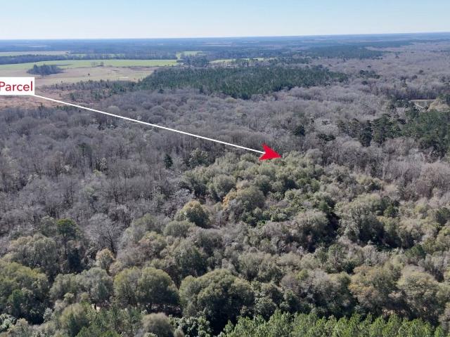 Property for sale in Byromville, Georgia