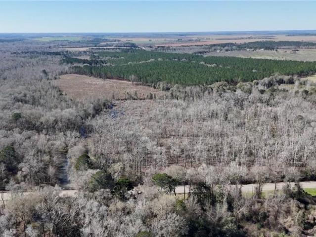 Property for sale in Byromville, Georgia