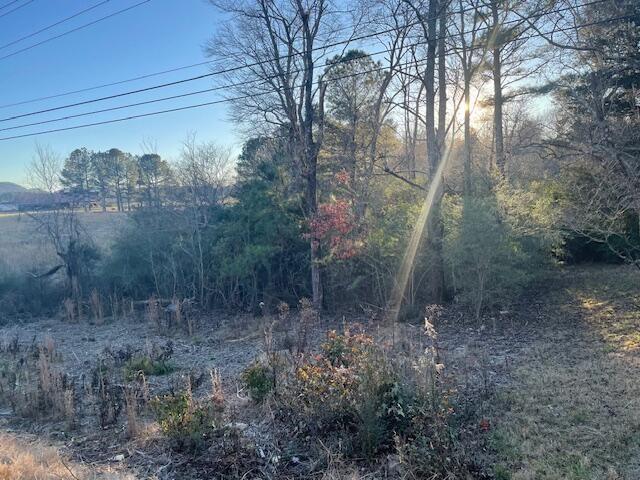 Land for sale in Georgia