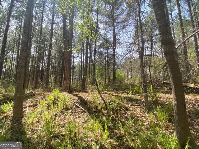 Land for sale in Banks, Georgia