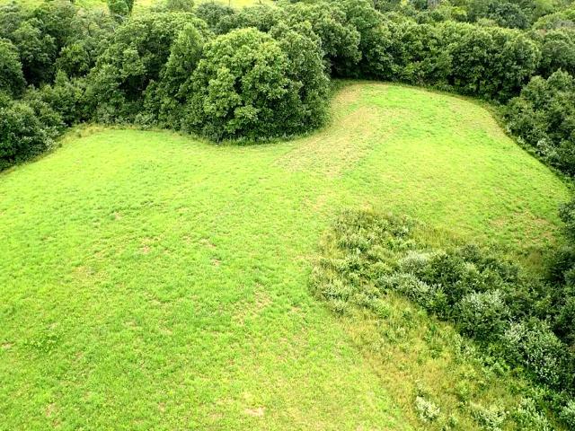 Land for sale in Livonia, Missouri