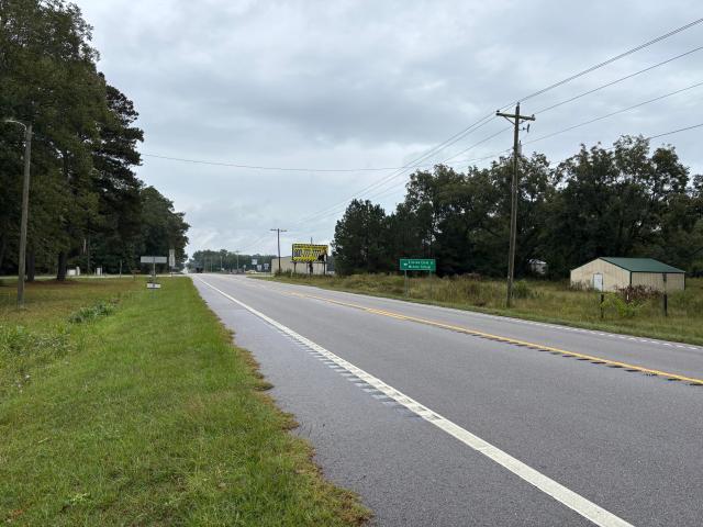 Land for sale in Elloree, Orangeburg County