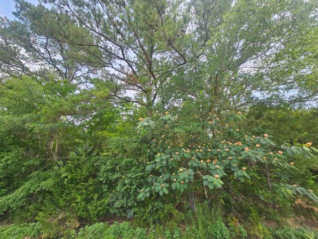 Land for sale in Columbus