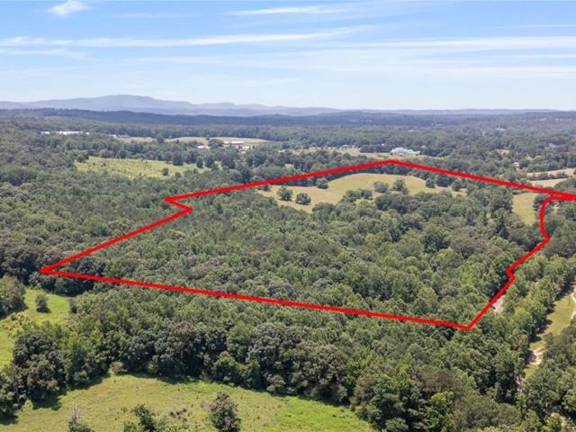 Land for sale in Pickens, Georgia
