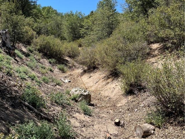 Land for sale in California