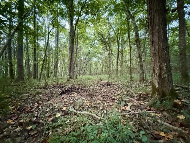 Land for sale in Hillcrest, Dickson