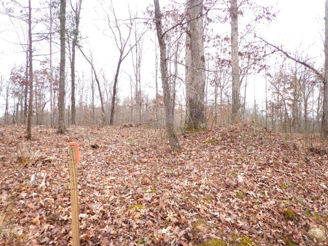 Property for sale in Tennessee