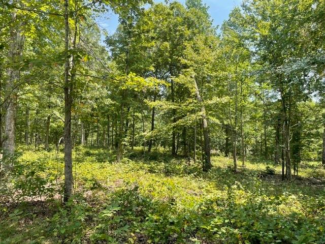Land for sale in Tennessee