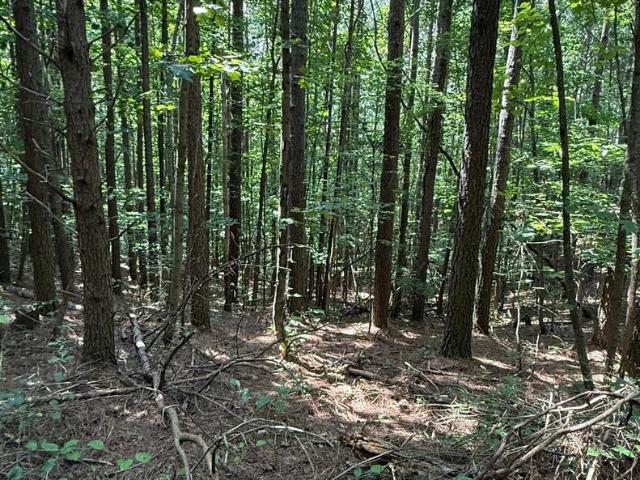 Land for sale in Tennessee