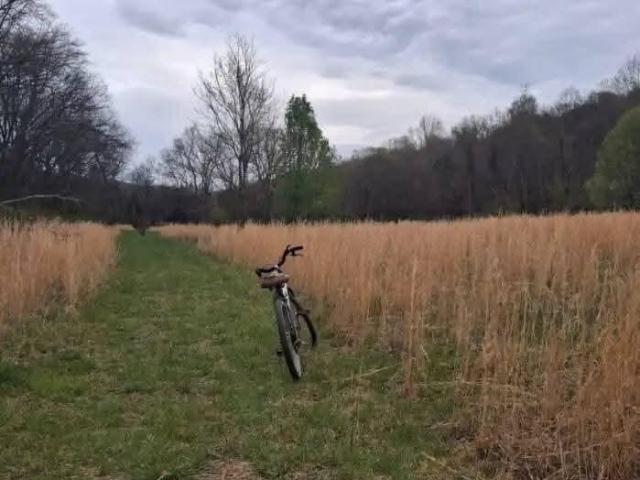 Land for sale in Tennessee