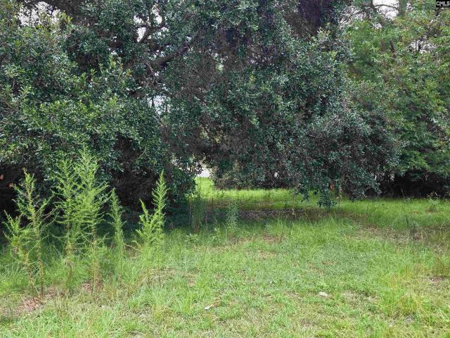 Land for sale in Orangeburg, South Carolina