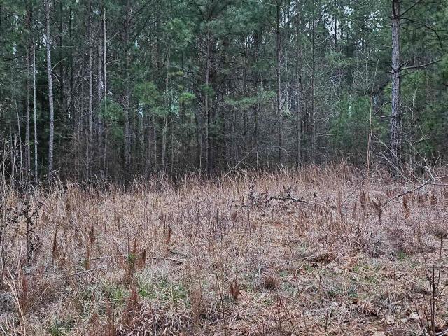 Land for sale in Cross Hill, South Carolina
