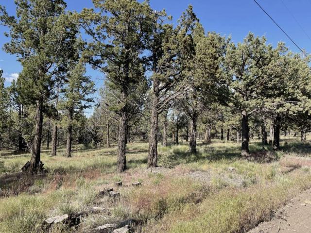 Land for sale in Modoc, California