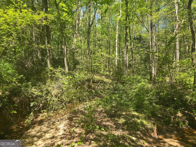 Land for sale in Toccoa, Georgia