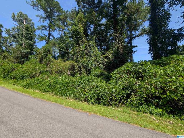 Land for sale in Weaver, Alabama