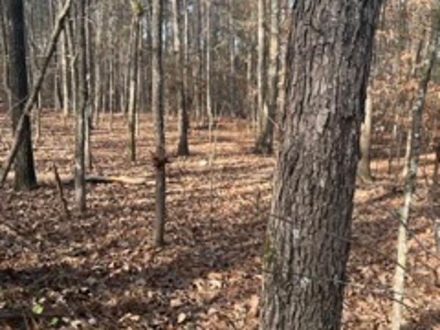 Land for sale in Hampton, Henry County