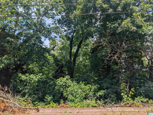 Land for sale in Anniston, Alabama