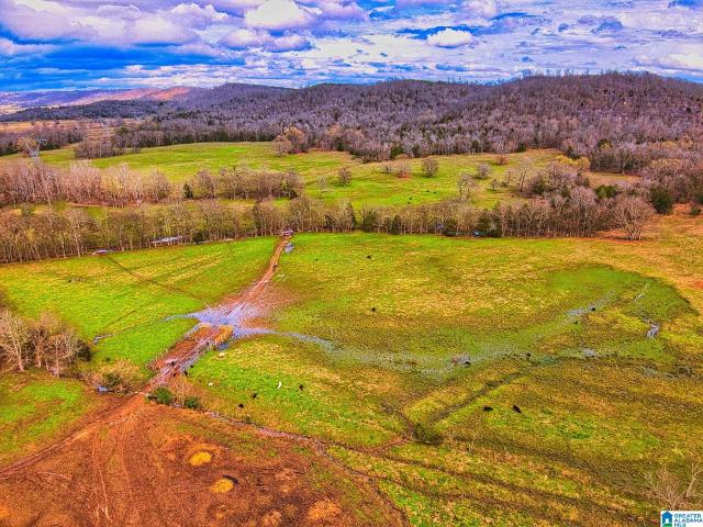Land for sale in Blount, Alabama