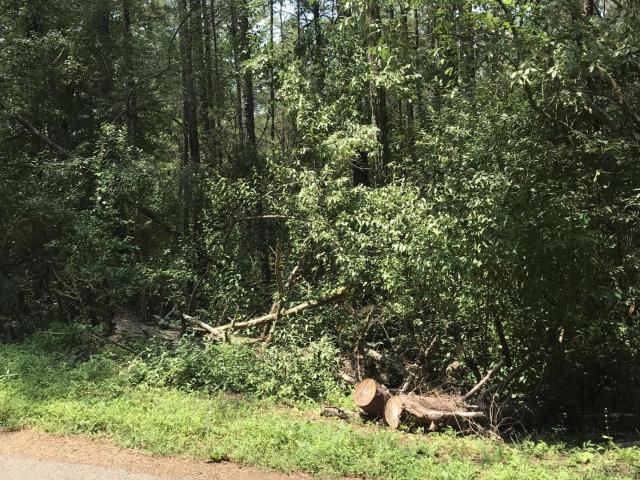 Land for sale in Tennessee