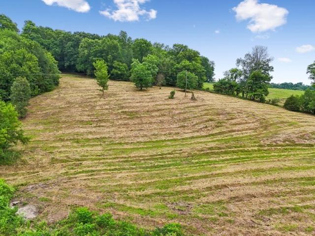 Land for sale in Grant, Gordonsville