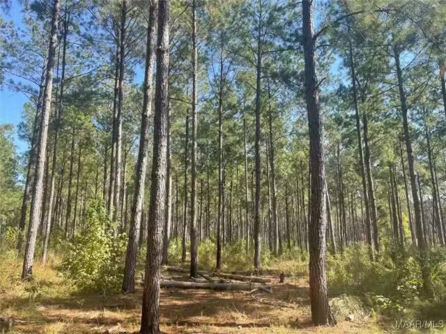 House for rent in Prattville