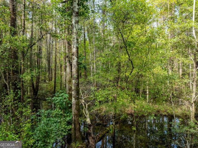 Land for sale in Rincon, Georgia