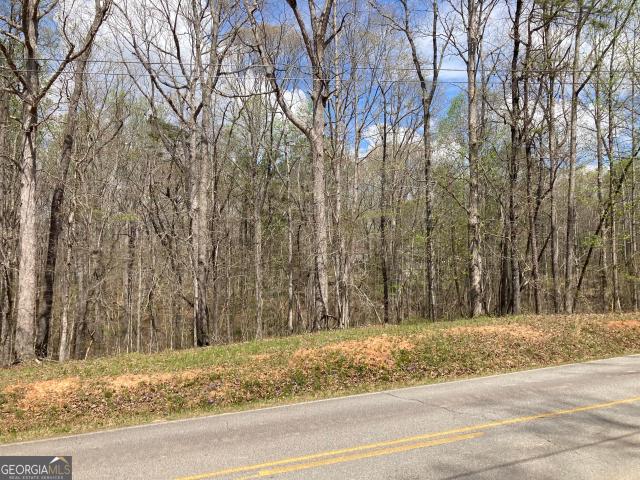 Land for sale in Mount Zion, Georgia