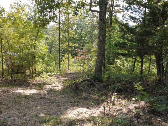 Land for sale in Lobelville, Middle Tennessee