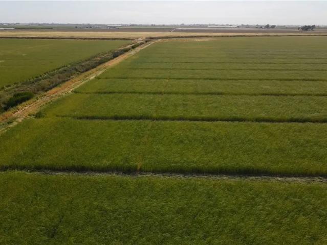 Land for sale in Turlock, California