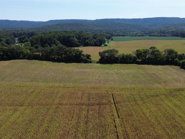 Land for sale in Tennessee