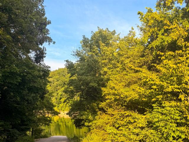 Land for sale in Tennessee