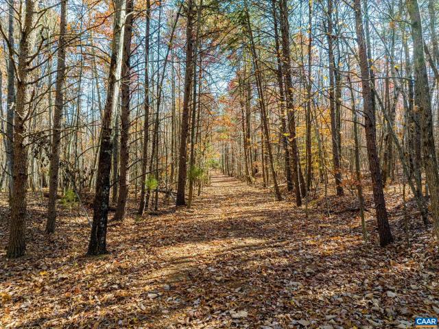 Land for sale in Virginia