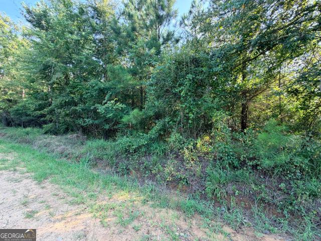 Land for sale in Roberta, Georgia