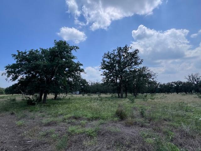 Farm for sale in Fredericksburg, Texas