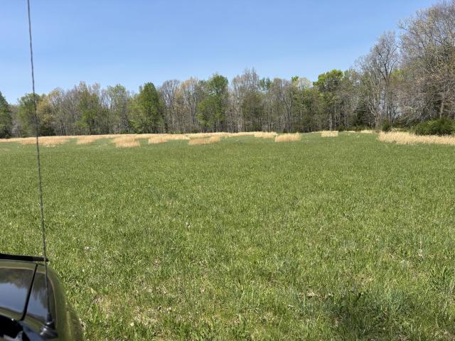 Land for sale in Tennessee