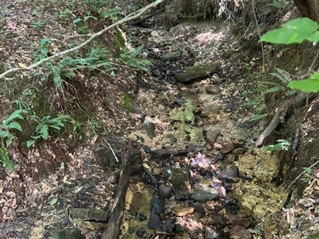 Land for sale in Kentucky