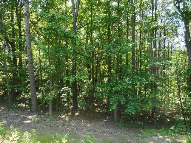 Land for sale in Holly Springs, Georgia