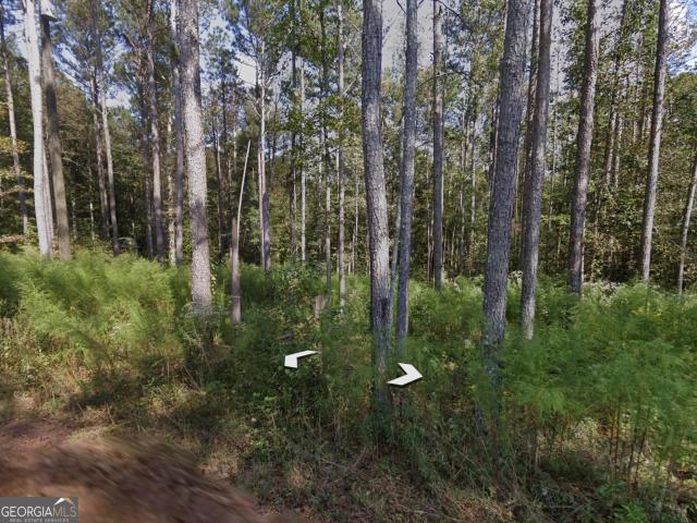 Land for sale in Bowdon, Georgia