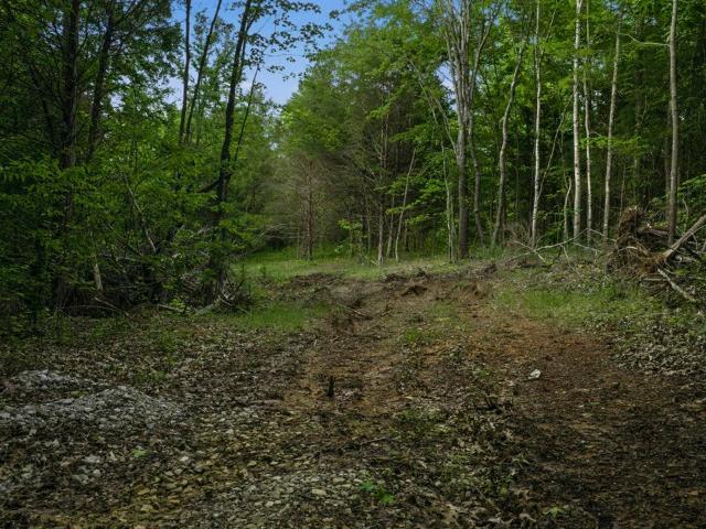 Land for sale in Morgantown, Kentucky