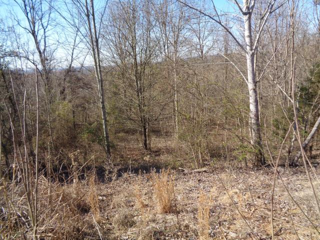 Land for sale in Tennessee