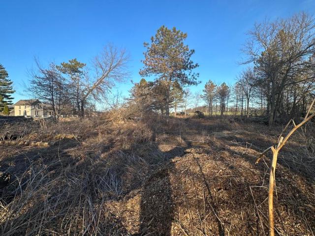 Land for sale in Mason, Michigan
