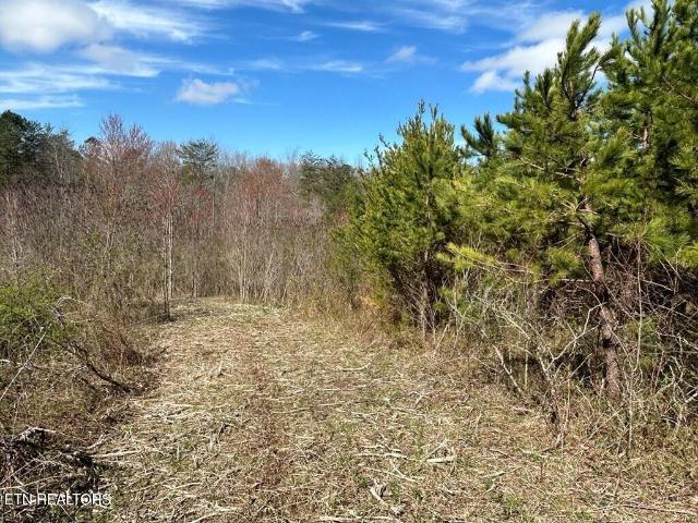 Land for sale in Tennessee