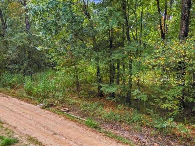 Land for sale in Coldspring, Texas