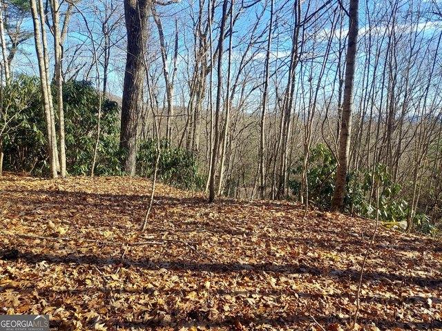 Land for sale in Dillard, Rabun County