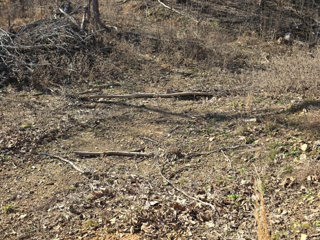 Land for sale in Tennessee