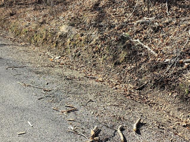 Land for sale in Tennessee