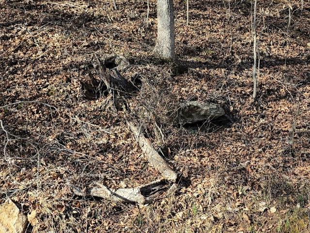Land for sale in Tennessee