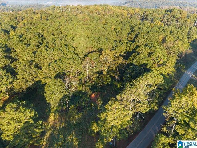 Land for sale in Oneonta, Blount County
