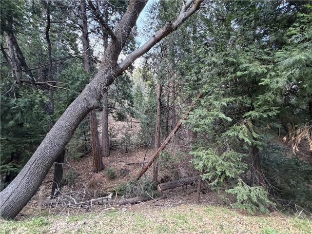 Land for sale in Cedar Glen, California