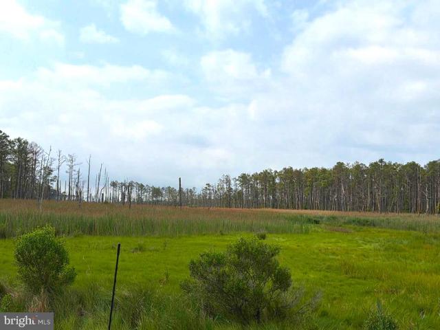 Land for sale in Dorchester, Maryland